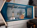Vogelkooi  met  2 vogels  vrouw tjes, Ophalen of Verzenden, Zo goed als nieuw, Vogelkooi