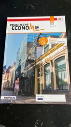 Praktische economie havo 4 | 5 module 6, Boeken, Ophalen of Verzenden, Zo goed als nieuw, HAVO, Economie