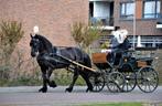 Prachtige Jacht Wagonette te koop, Dieren en Toebehoren, Paarden en Pony's | Overige Paardenspullen, Ophalen of Verzenden, Zo goed als nieuw