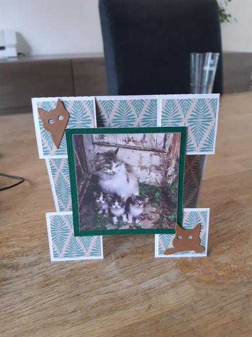 scrap-Katten(29), Hobby en Vrije tijd, Kaarten | Zelfgemaakt, Nieuw, Dieren, Ophalen of Verzenden