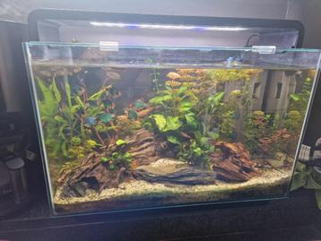 Superfish home 65 beschikbaar voor biedingen