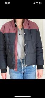 Jaa Bomberjack van Bash maat 1, Ophalen of Verzenden, Gedragen, Overige maten, Grijs