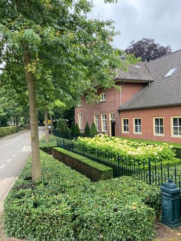 Tuinonderhoud Neder-Betuwe - Utrechtse heuvelrug hovenier beschikbaar voor biedingen