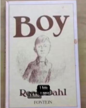 Boy door Roald Dahl beschikbaar voor biedingen