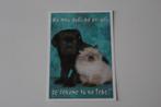 Katten Postkaart - Kitten en chocolade Labrador Pup Tsjechie, Ongelopen, Verzenden, 1980 tot heden, Hond of Kat