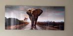 Zeer mooie foto olifant, Ophalen, Zo goed als nieuw, Schilderij, Minder dan 50 cm