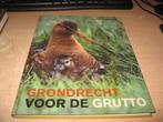 Halbe Hettema      Grondrecht voor de Grutto, Ophalen of Verzenden, Zo goed als nieuw, Vogels