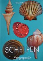 De Bruyne: Geïllustreerde Schelpenencyclopedie, Natuur algemeen, Ophalen of Verzenden, Zo goed als nieuw
