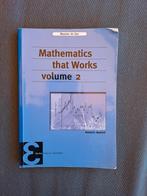 Mathematics that works deel 2, Ophalen of Verzenden, Zo goed als nieuw, Maarten de gee, Natuurwetenschap