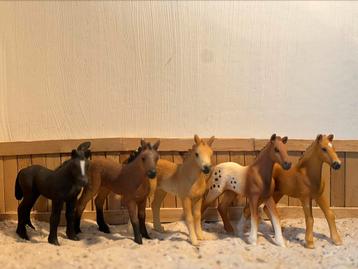 Schleich paarden- veuelens beschikbaar voor biedingen
