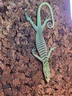 Varanus Prasinus 0.0.3, Dieren en Toebehoren, Hagedis, Tam, 0 tot 2 jaar