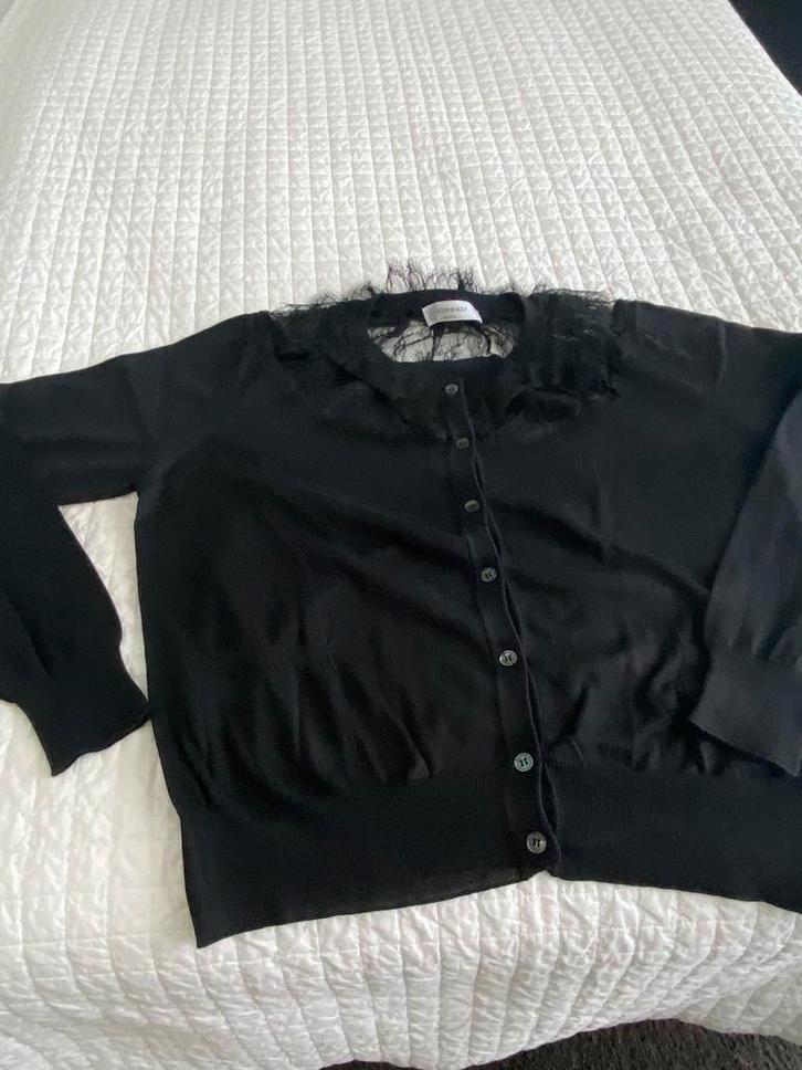 Viktor & Rolf vestje.  Nieuw., Kleding | Dames, Truien en Vesten, Nieuw, Maat 42/44 (L), Zwart, Verzenden