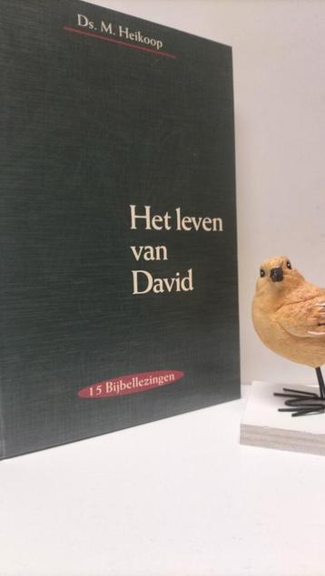 Heikoop, Ds. M.;  Het leven van David (15 Bijbellezingen)   beschikbaar voor biedingen