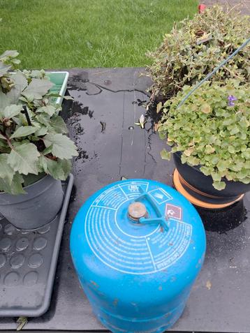 Campingaz 907 Gasfles beschikbaar voor biedingen