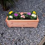 Houten Plantenbak - Douglas Hout 50x20x20cm, Ophalen, Tuin, Minder dan 30 cm, Minder dan 60 cm