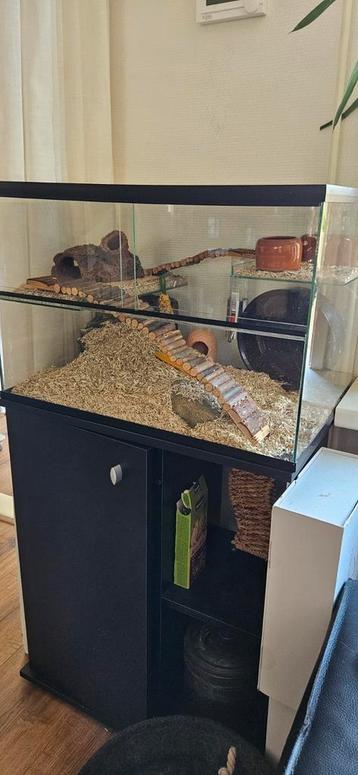 Terrarium gebrilarium + alle toebehoren  beschikbaar voor biedingen
