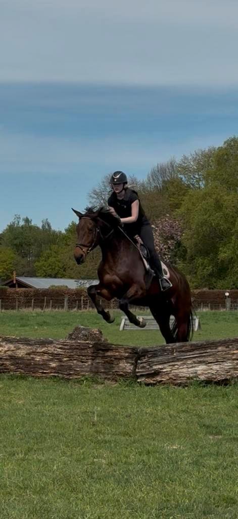 Betrouwbare leaser/bijrijder!, Dieren en Toebehoren, Paarden en Pony's | Overige Paardenspullen, Ophalen of Verzenden