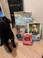 Puppybrokken - verschillende merken, Dieren en Toebehoren, Ophalen of Verzenden, Hond