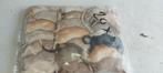 Diepvries    veeltepelmuizen en gerbils, Amfibie, 0 tot 2 jaar