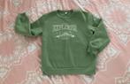 Warme kinder sweater, Ophalen of Verzenden, Gebruikt, Jongen of Meisje, Trui of Vest