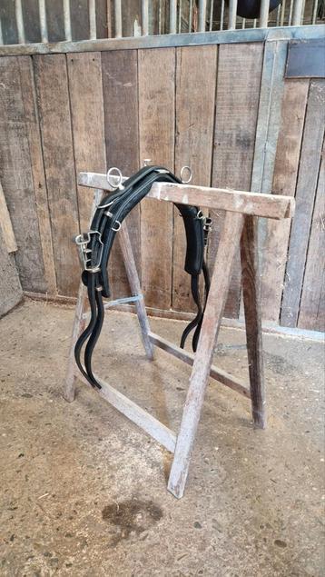 Mentuig shetlander A pony beschikbaar voor biedingen