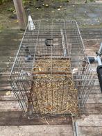 Bench groot formaat, Dieren en Toebehoren, Hondenhokken, Ophalen, Gebruikt, 110 cm of meer, 65 tot 100 cm