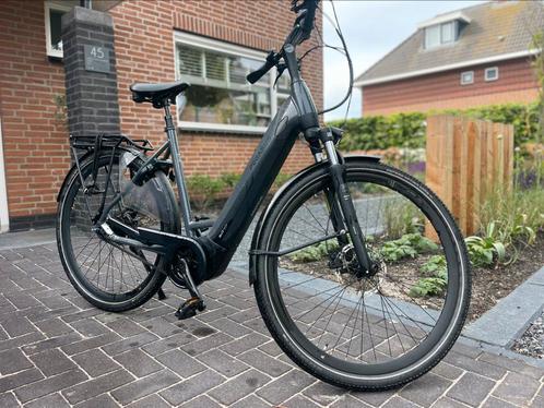 Pegasus ravenna evo 8f belt drive . Grijs  55cm, Fietsen en Brommers, Elektrische fietsen, Zo goed als nieuw, Overige merken, 51 tot 55 cm