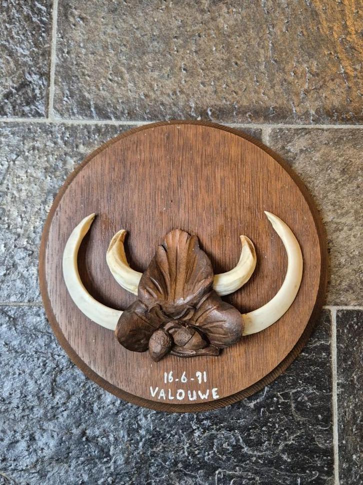 Prachtig Groot Hand Gestoken Schild Wildzwijn Tanden Veluwe, Verzamelen, Dierenverzamelingen, Zo goed als nieuw, Schedel, Wild dier