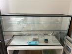 Hamster/gerbil terrarium, Minder dan 60 cm, Gebruikt, Hamster, Ophalen of Verzenden