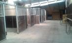 pension stalling op basis van zelfverzorging, Weidegang, 4 paarden of pony's of meer