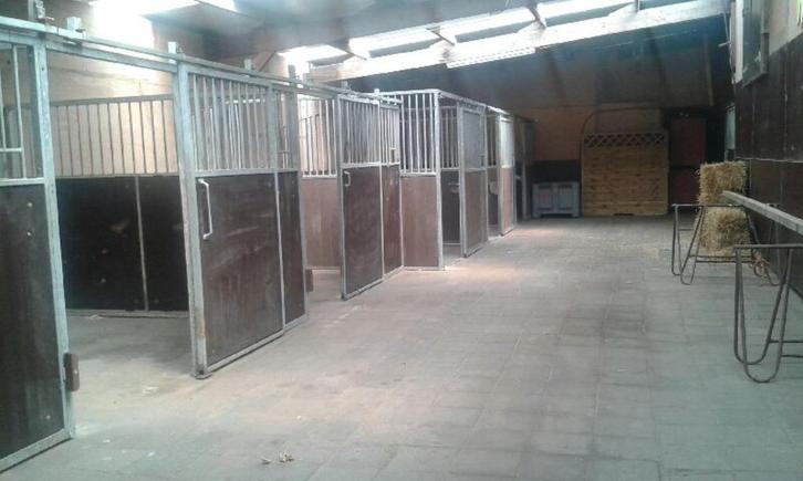 pension stalling op basis van zelfverzorging, Dieren en Toebehoren, Stalling en Weidegang, Stalling, Weidegang, 4 paarden of pony's of meer
