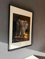 Olifant Fotoprint in Lijst - 50x72cm, Antiek en Kunst, Ophalen of Verzenden