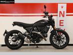 DUCATI SCRAMBLER ICON DARK (bj 2024), Motoren, Motoren | Ducati, 2 cilinders, Bedrijf, Meer dan 35 kW, Overig
