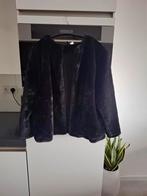 Prachtige, zwarte, bont / teddy / fluffy jasje, H&M, mt L, Kleding | Dames, Jassen | Winter, H&M, Zwart, Maat 42/44 (L), Nieuw