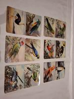 De Gruyter's snoepje van de week Vogelplaatjes, Verzamelen, Ophalen of Verzenden, Nieuw, Gebruiksvoorwerp