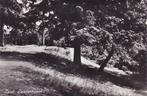 Zeist. Zeisterbosch.  **, Ophalen of Verzenden, 1940 tot 1960, Ongelopen, Utrecht