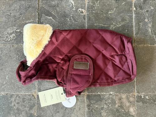Kentucky dog coat navy maat SM nieuw Bordeaux, Dieren en Toebehoren, Hondenkleding, Nieuw, Hondenjas, Verzenden