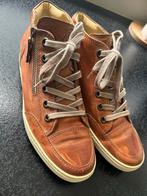 Paul Green Sneakers Dames Bruin Maat 39, Ophalen, Bruin, Paul Green, Sneakers of Gympen