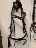 Gaaf Hoofdstel maat Full, Dieren en Toebehoren, Paarden en Pony's | Hoofdstellen en Tuigage, Ophalen of Verzenden, Nieuw