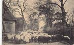919 Mooi Drenthe - Schoonloo  1911, Verzenden, Voor 1920, Gelopen, Drenthe