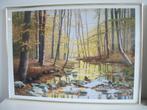 2 Natuur: Bomen Water - Wissel Lijst 71 x 51 - zgan - p.stuk, 50 tot 75 cm, Ophalen of Verzenden, Zo goed als nieuw, Foto of Poster