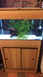 Aquarium 60 liter, Dieren en Toebehoren, Vissen | Aquaria en Toebehoren, Ophalen, Gebruikt, Leeg aquarium