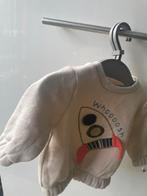 Babysweater mt 62 Primark, Zo goed als nieuw, Primark, Jongetje, Truitje of Vestje
