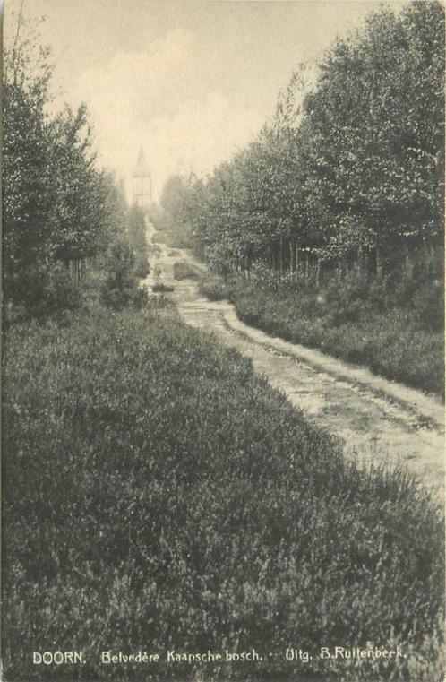 (388-399-031) Doorn Kaapsche Bosch, Verzamelen, Ansichtkaarten | Nederland, Utrecht, Verzenden