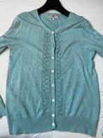Noa noa vest maat S, Ophalen of Verzenden, Zo goed als nieuw, Maat 36 (S), Blauw