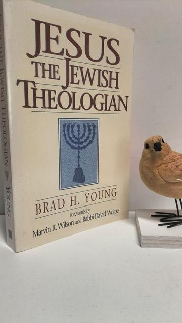 Young, Brad H.; Jesus the Jewish theologian beschikbaar voor biedingen