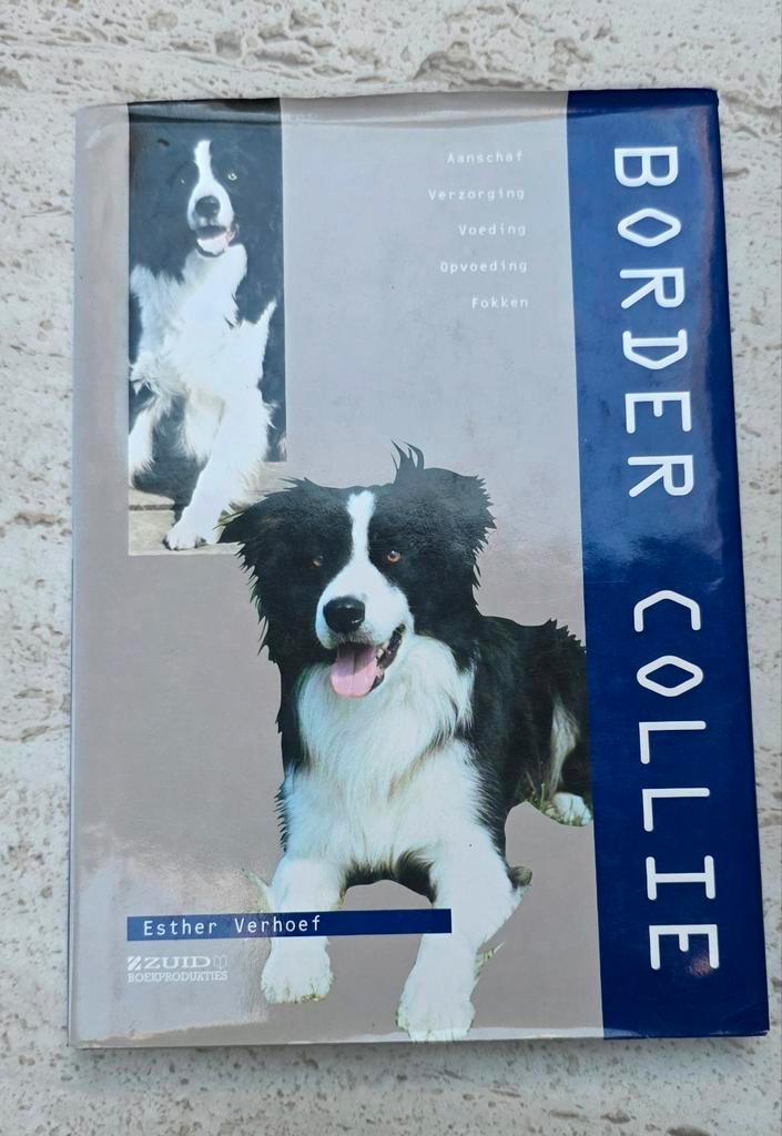 Border Collie, Esther Verhoef, Boeken, Dieren en Huisdieren, Zo goed als nieuw, Honden, Ophalen of Verzenden