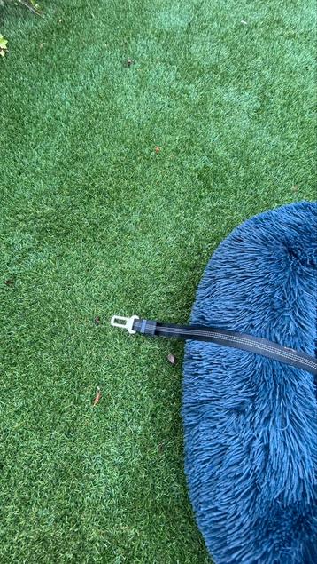 pelsbarn auto hondenmand beschikbaar voor biedingen