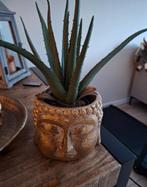 Buddha bloempot, Ophalen, Overige materialen, Rond, Zo goed als nieuw