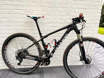 Olympia Iron carbon mtb -17 inch - Shimano XT beschikbaar voor biedingen